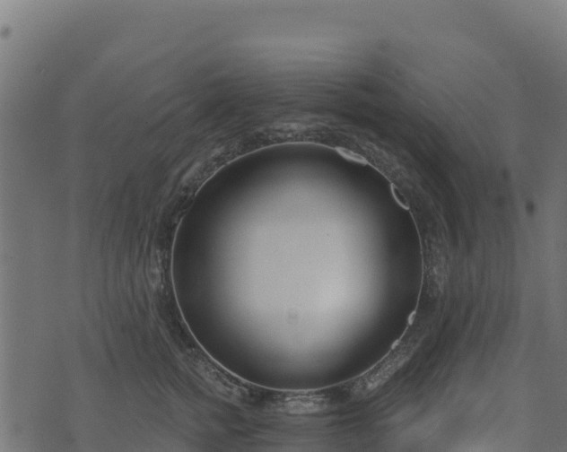 X0000073930758200608181114