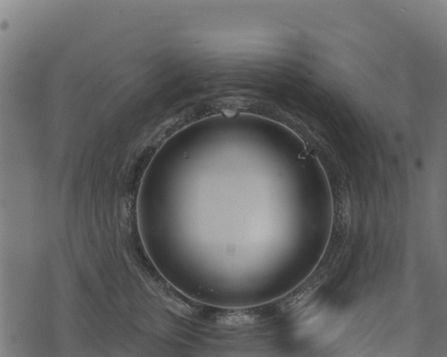 X0000073930759200608181114