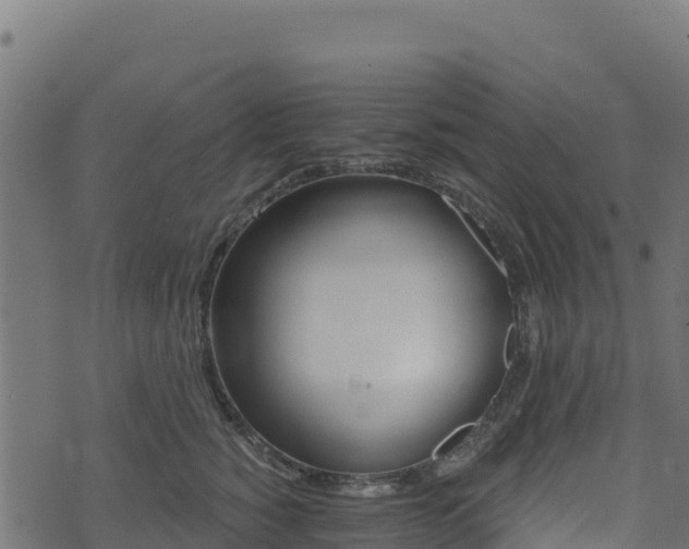 X0000073930760200608181114