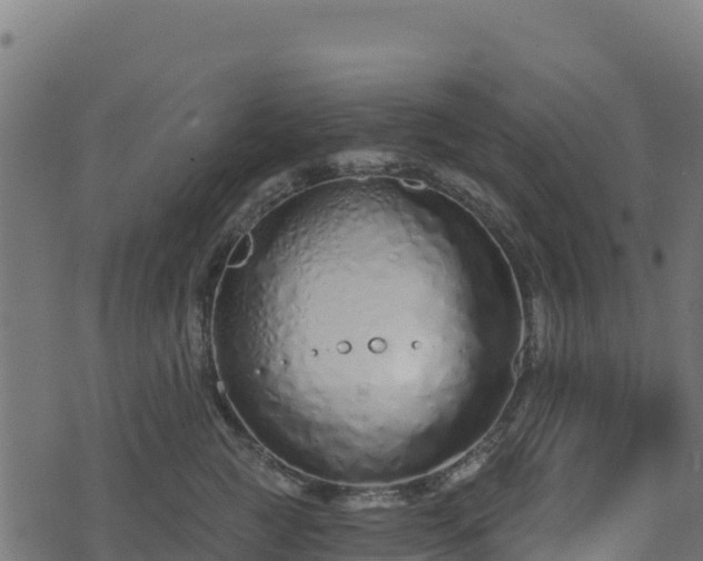 X0000073930761200608181114