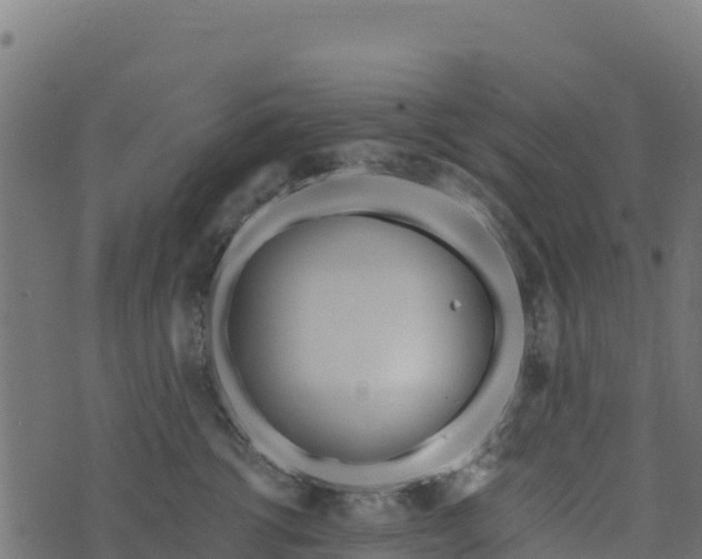 X0000073930762200608181114