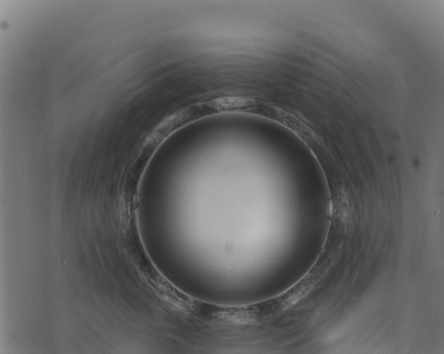 X0000073930763200608181114