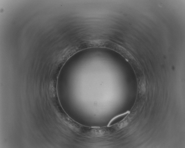 X0000073930764200608181114