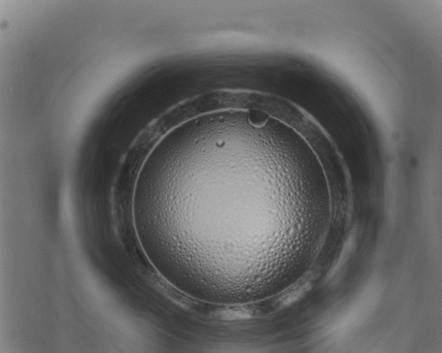 X0000073930765200608181114