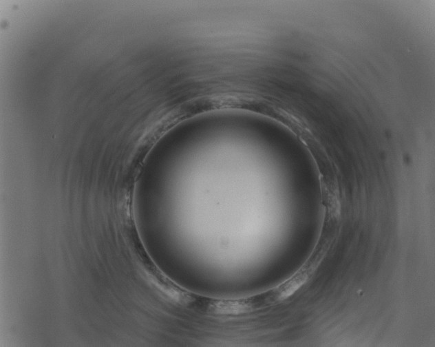 X0000073930766200608181114