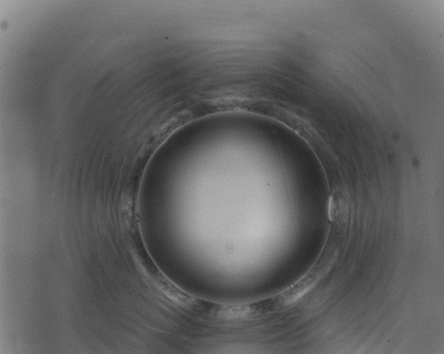 X0000073930767200608181114