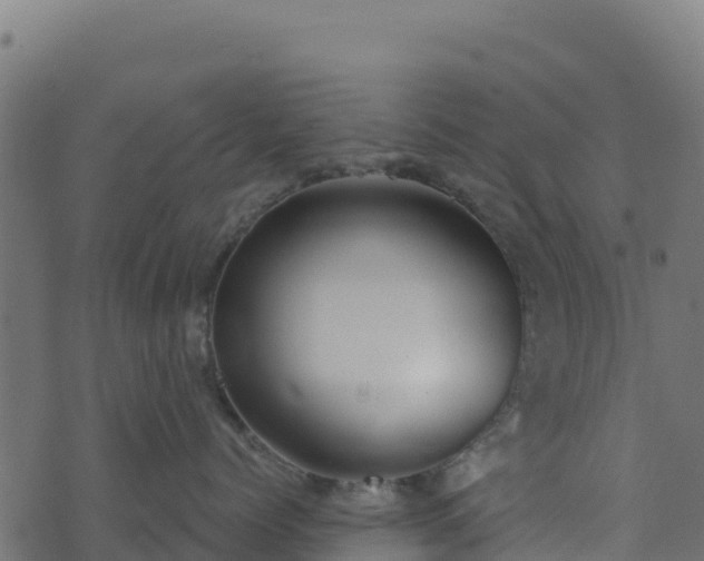 X0000073930768200608181114