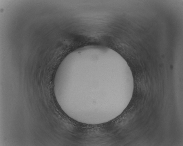 X0000073930769200608181113