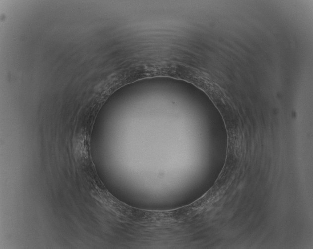 X0000073930770200608181113