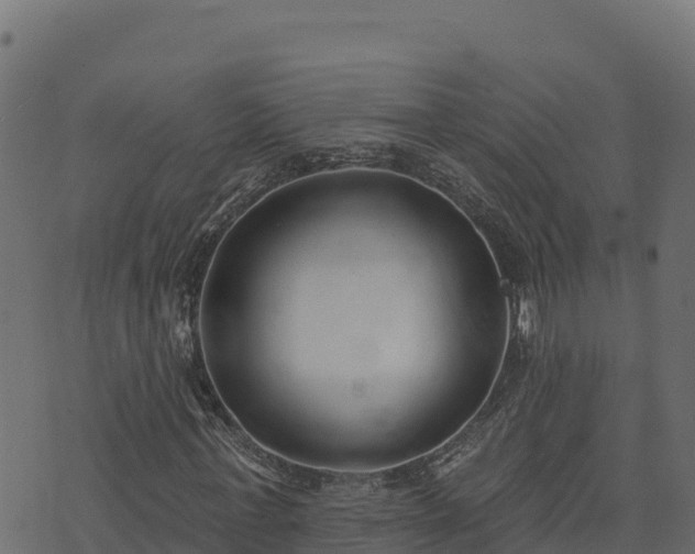 X0000073930771200608181113