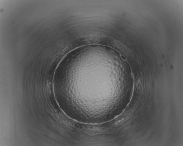 X0000073930772200608181113