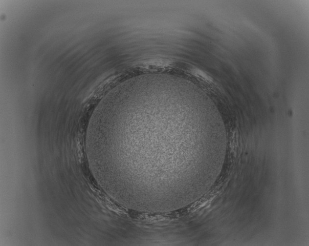 X0000073930774200608181113