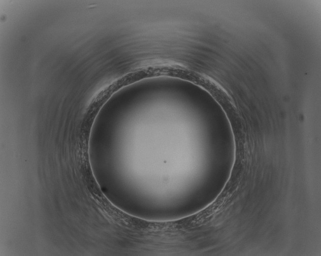 X0000073930775200608181113