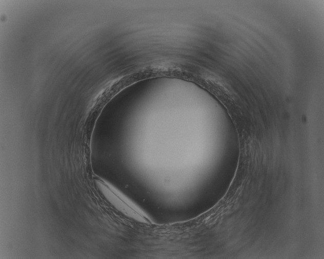 X0000073930776200608181113