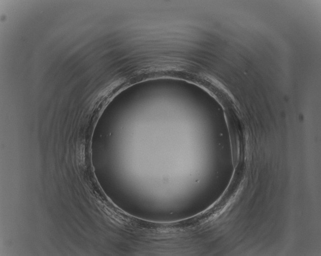 X0000073930777200608181113