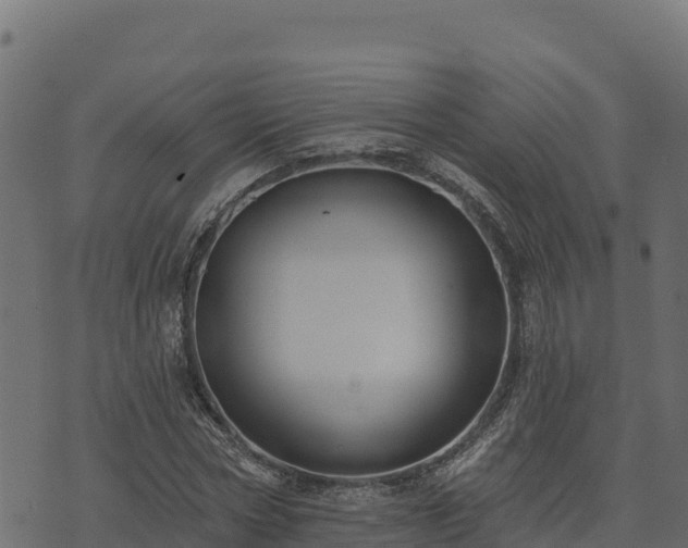 X0000073930778200608181113