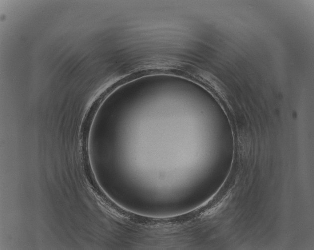 X0000073930779200608181113