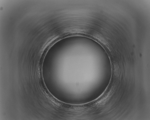 X0000073930782200608181113