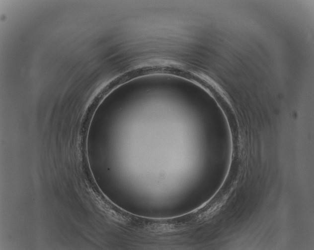 X0000073930783200608181113