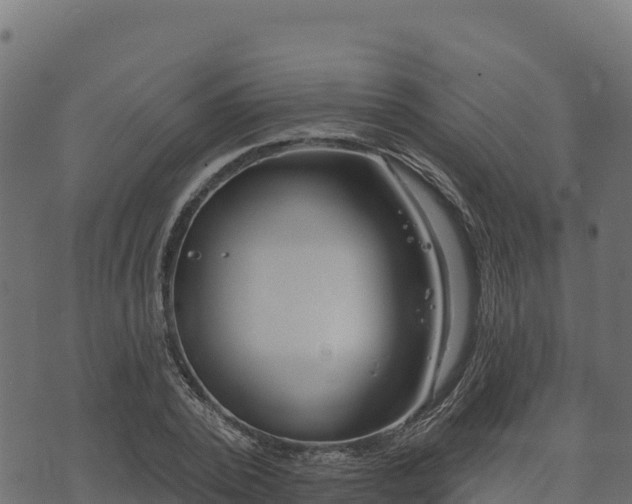 X0000073930784200608181113