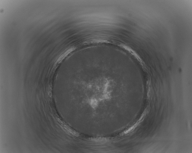 X0000073930785200608181113