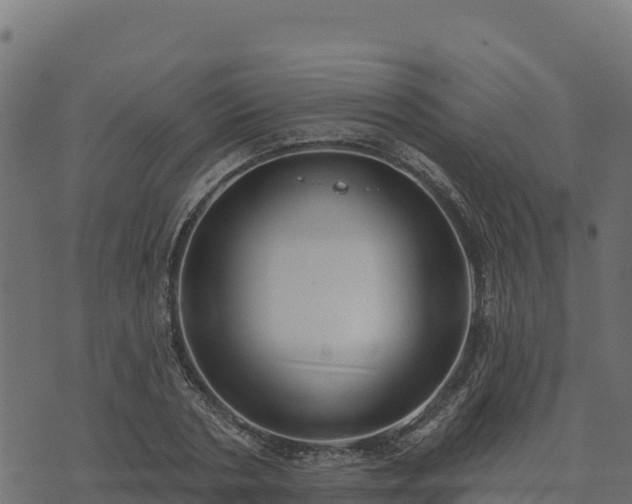 X0000073930786200608181113