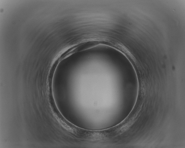 X0000073930787200608181113