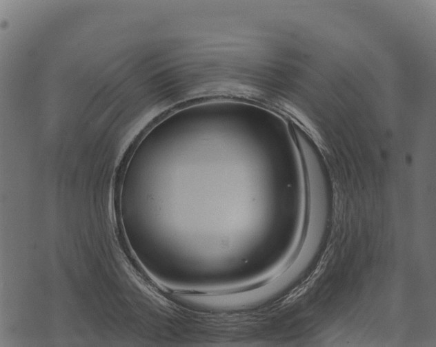 X0000073930788200608181113