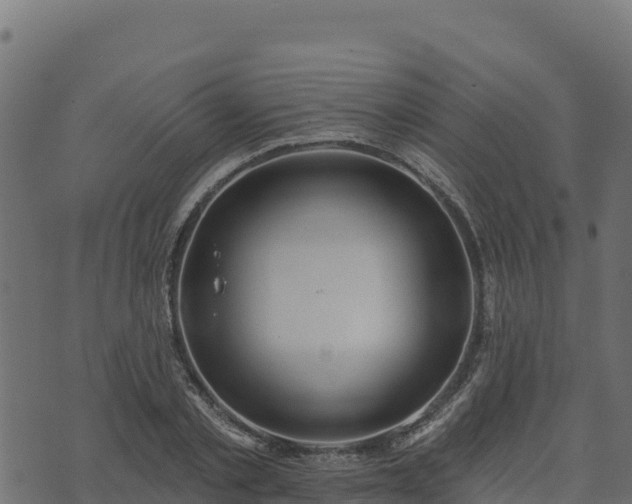 X0000073930789200608181113