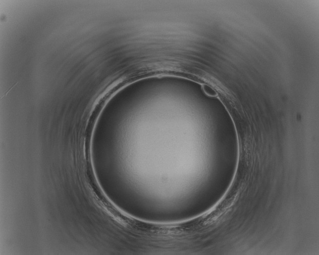 X0000073930790200608181113