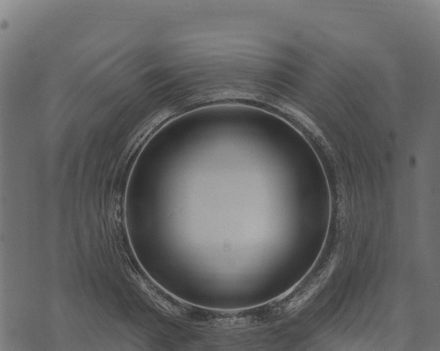 X0000073930793200608181113