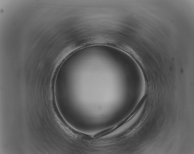 X0000073930795200608181113