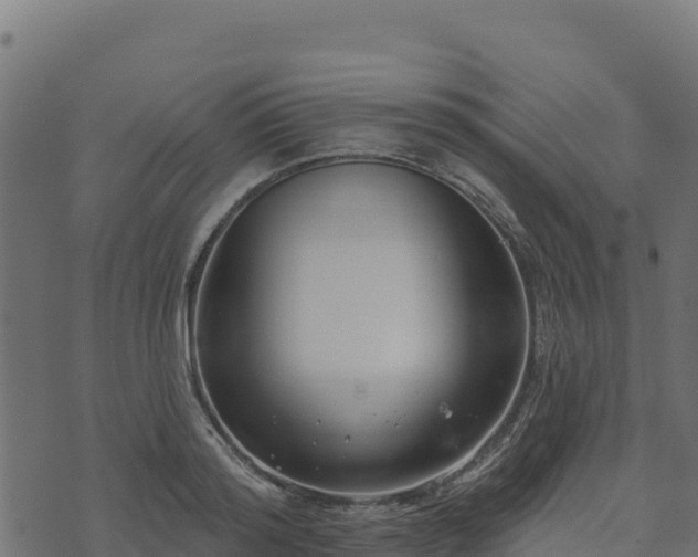 X0000073930796200608181113