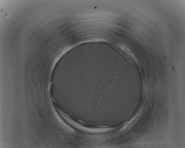 X0000073930797200608181113