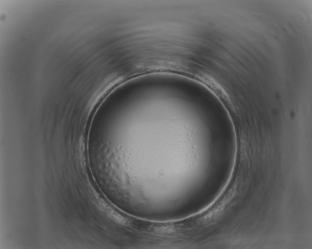 X0000073930798200608181113