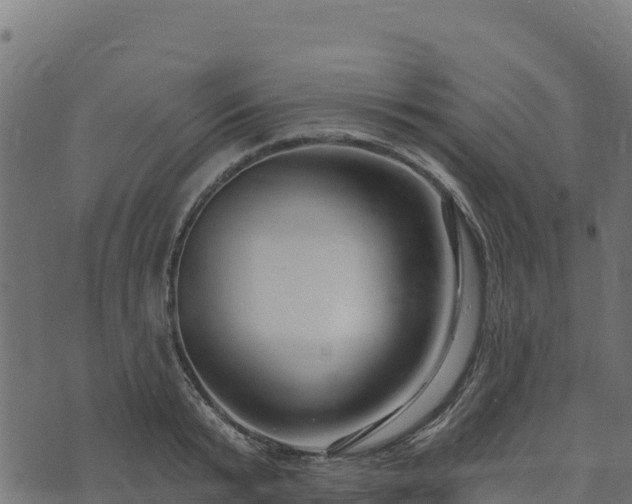 X0000073930799200608181113