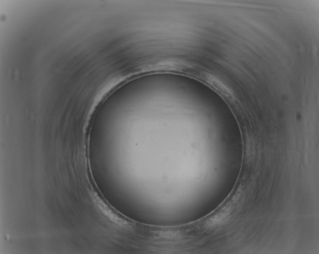 X0000073930800200608181113