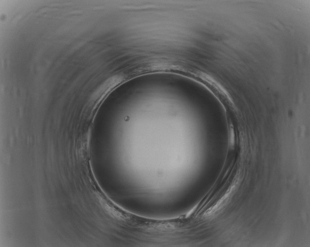 X0000073930801200608181113