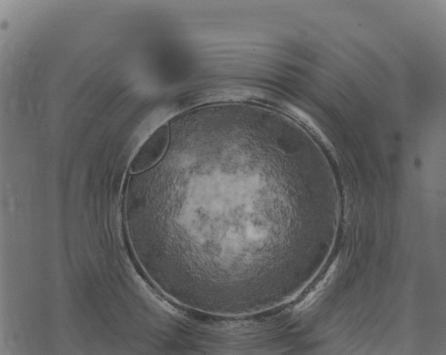 X0000073930802200608181113