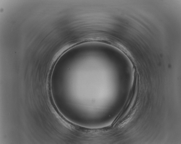 X0000073930803200608181113