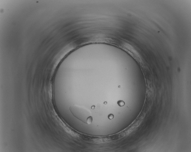 X0000073930804200608181113