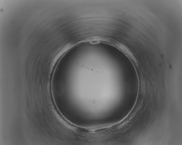 X0000073930805200608181113