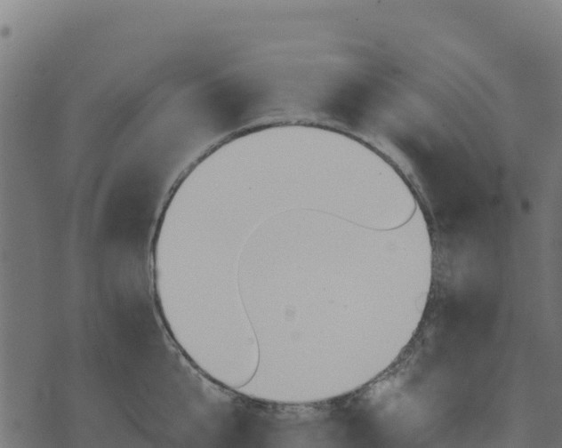 X0000073930807200608181113