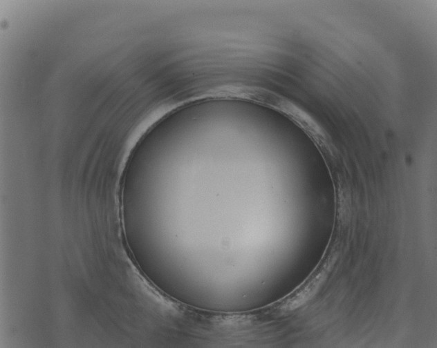 X0000073930808200608181113