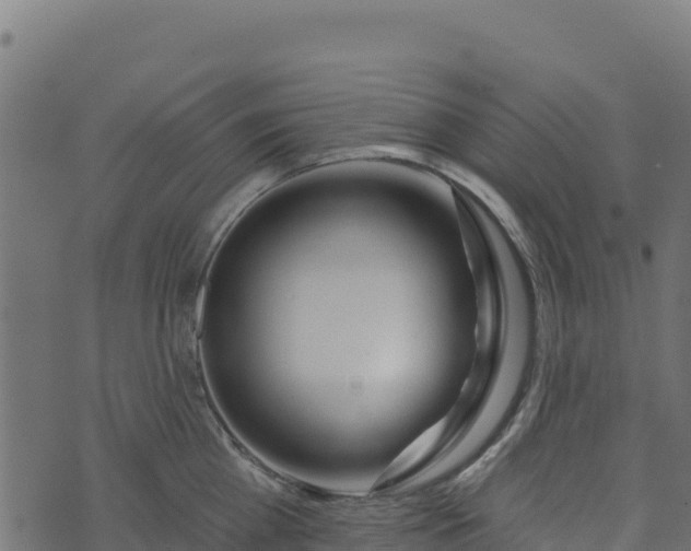 X0000073930809200608181113