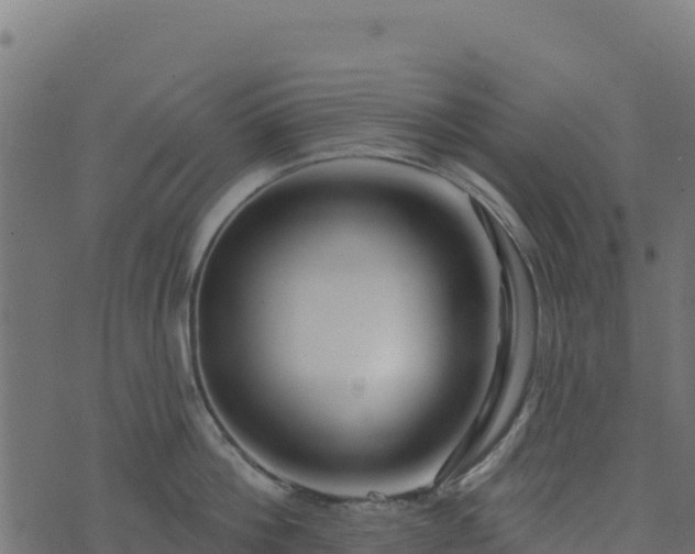 X0000073930812200608181113