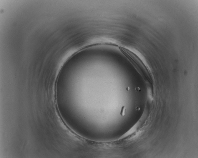 X0000073930815200608181113