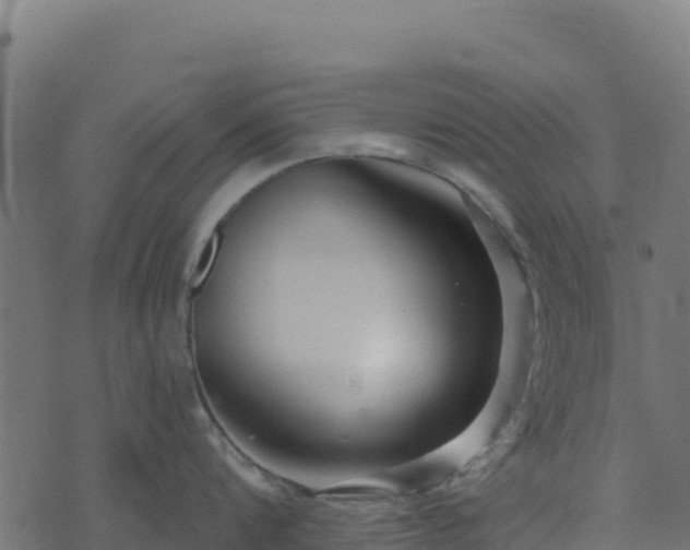 X0000073930816200608181113