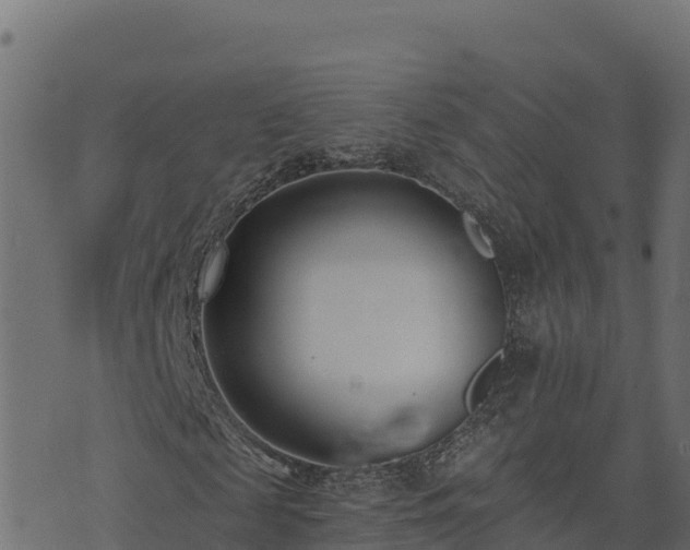 X0000073930817200608181112