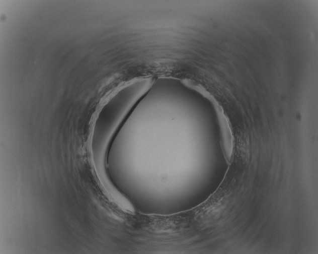 X0000073930818200608181112